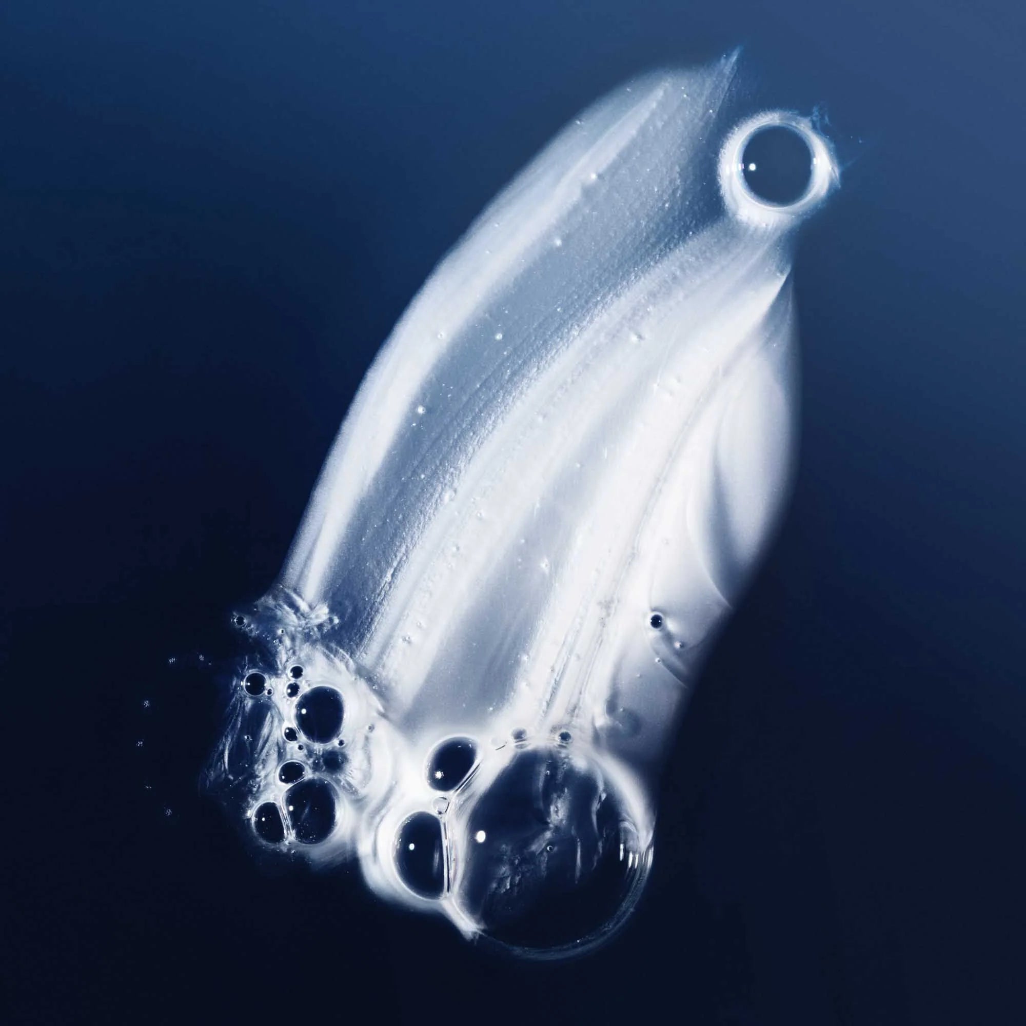 Living Proof PhD Shampoo