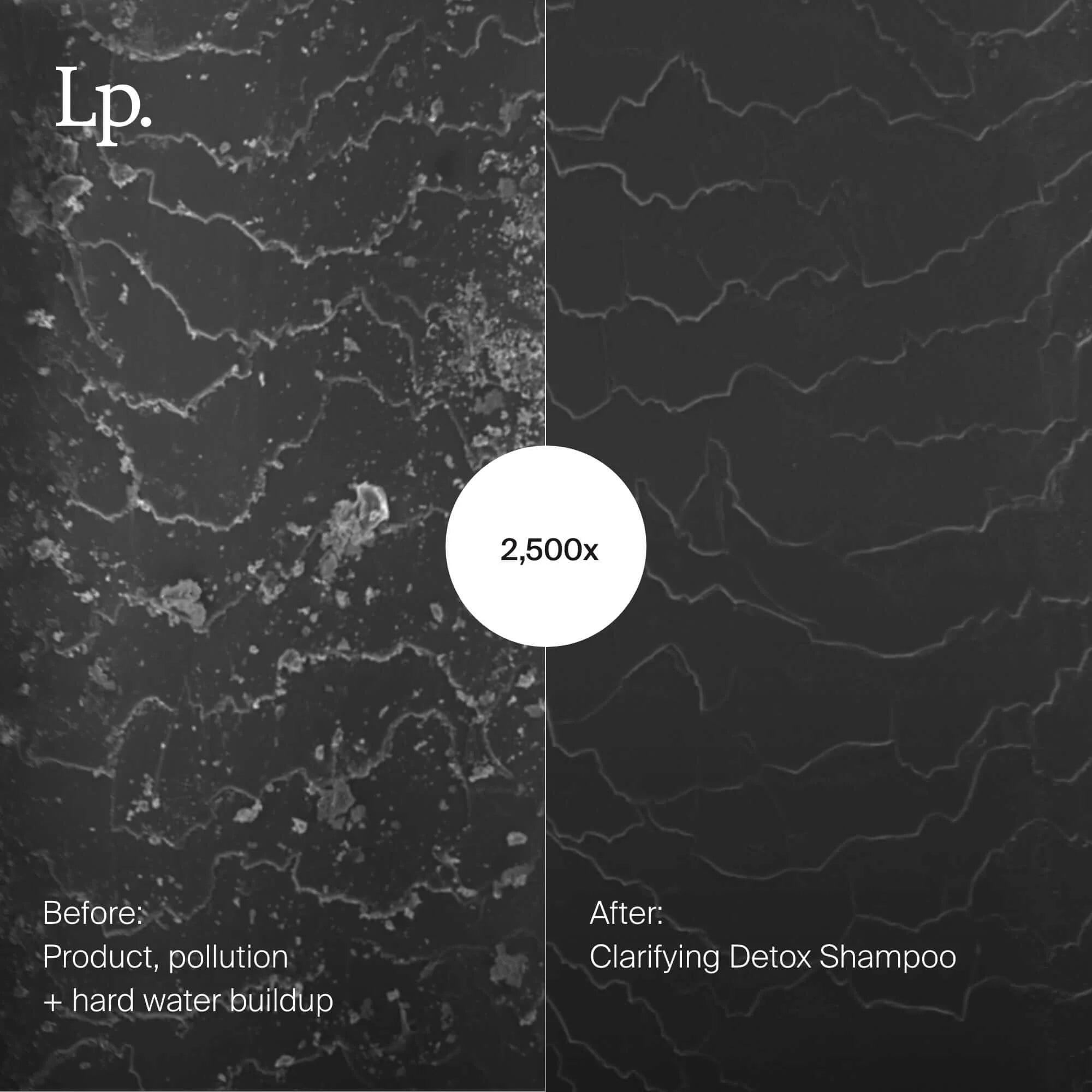 Living Proof Clarifying Detox Shampoo