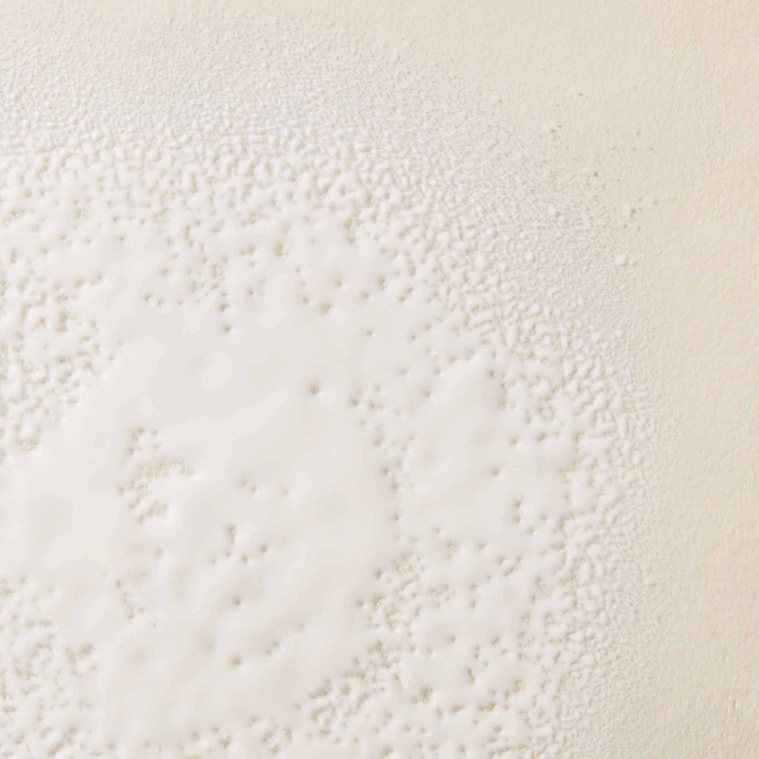 Living Proof No Frizz Smooth Styling Spray