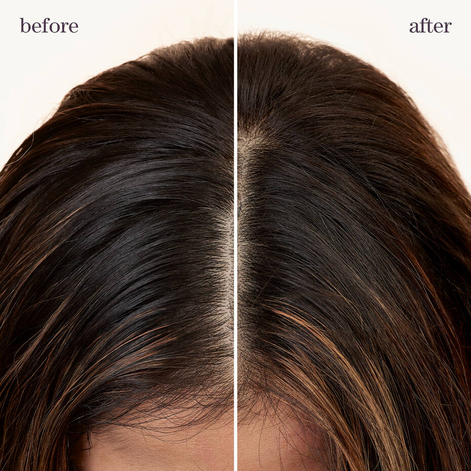 Pureology Style + Protect Refresh &amp; Go Dry Shampoo