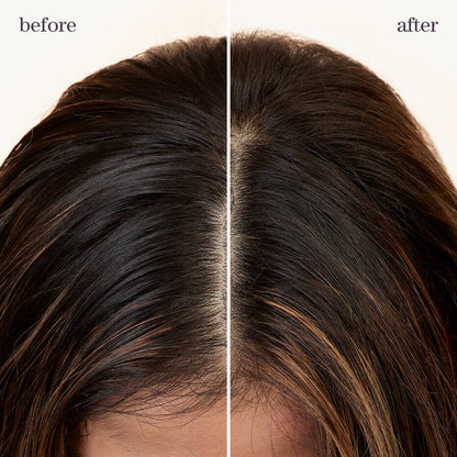 Pureology Style + Protect Refresh &amp; Go Dry Shampoo