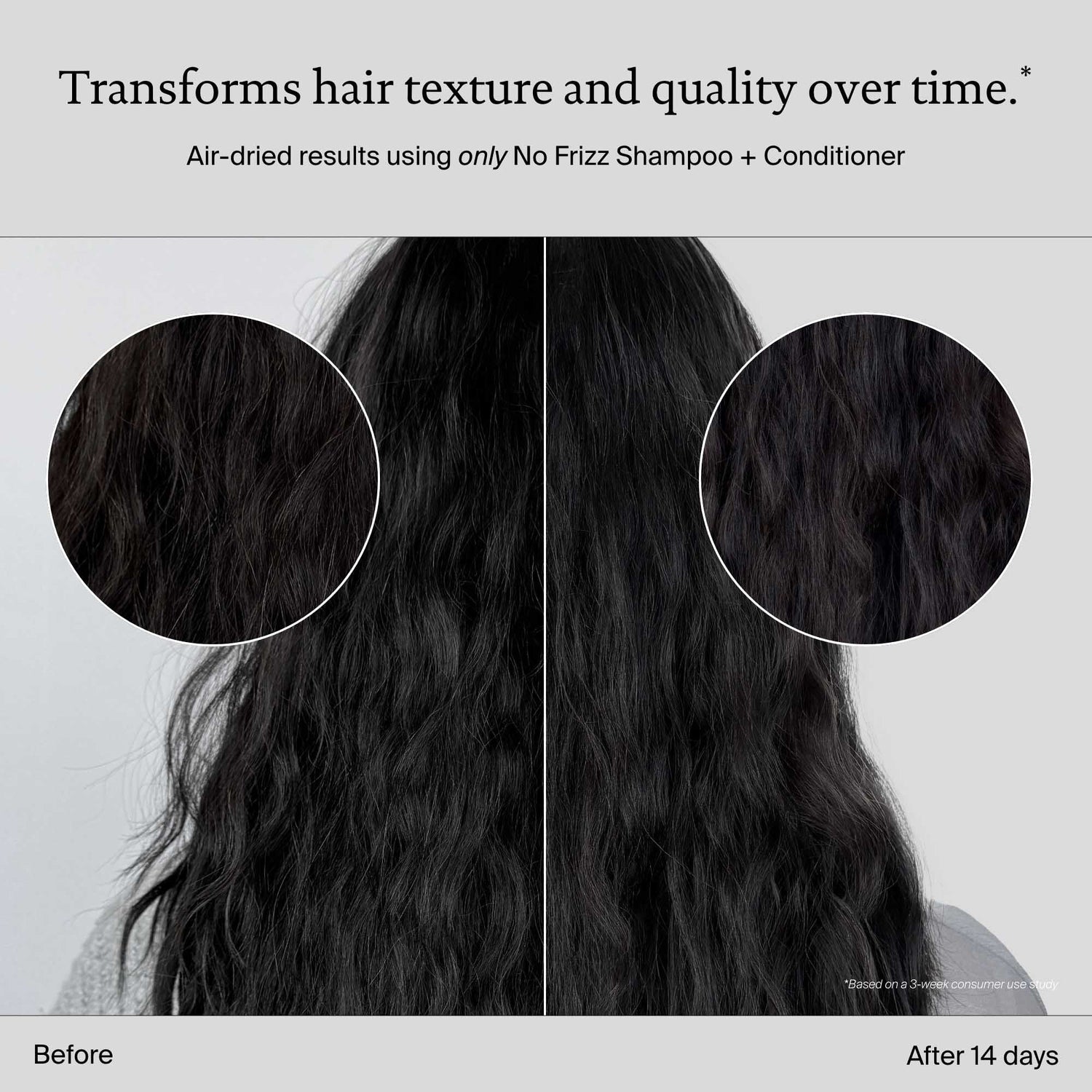 Living Proof No Frizz Conditioner