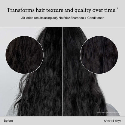 Living Proof No Frizz Conditioner