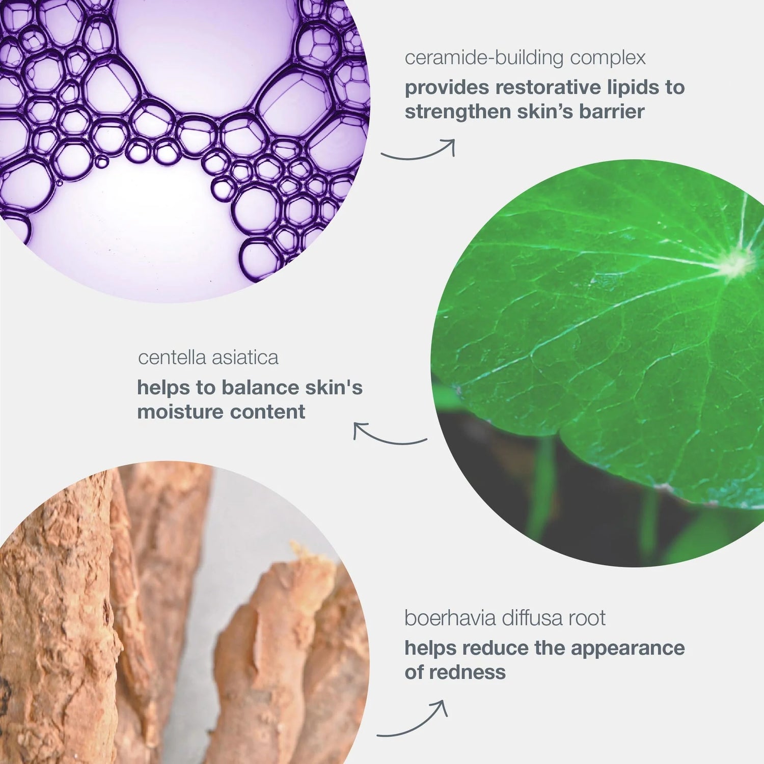 Dermalogica Stabilizing Repair Cream